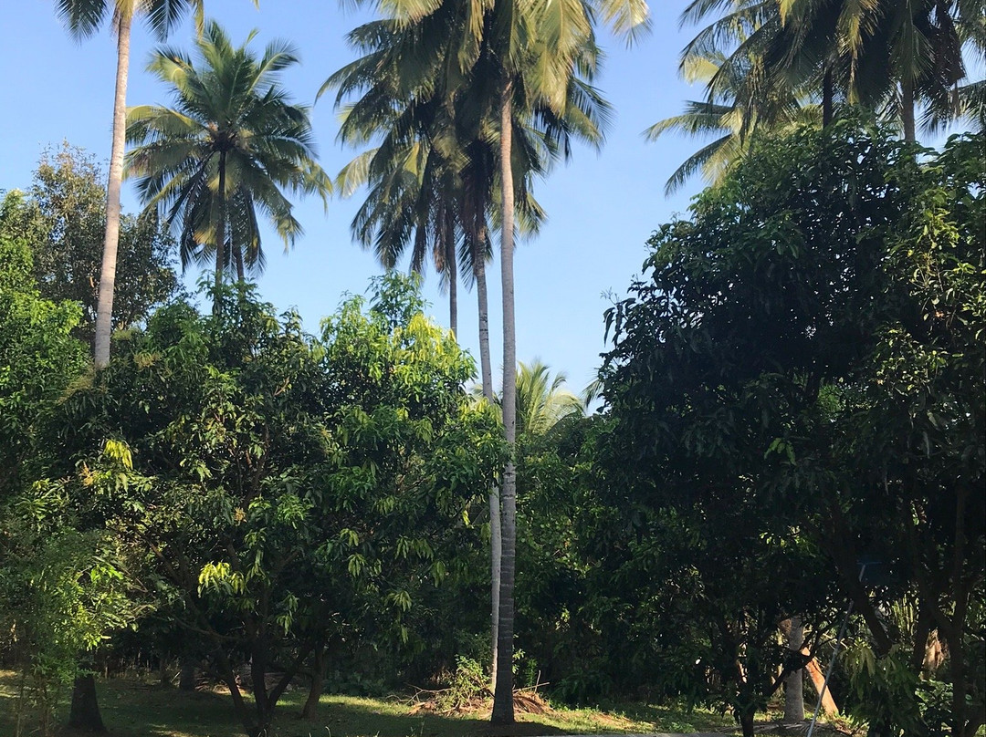 Bungalow Berrycove主图