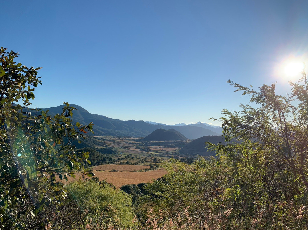 Casa Tia Anita, Hotel Boutique主图