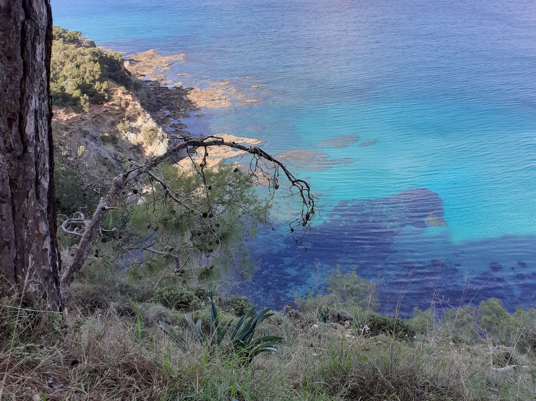 Wheelie Cyprus-城邦必去景点