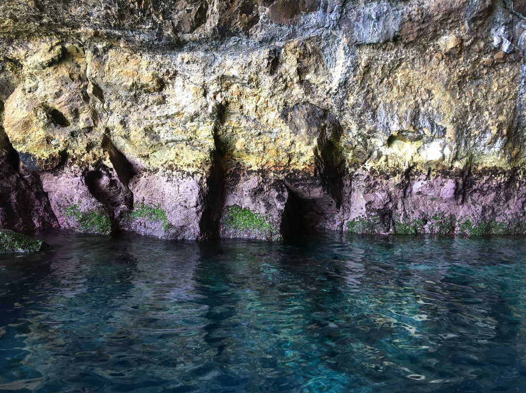 Gulf Eco Adventures-奥克兰中心地区必去景点