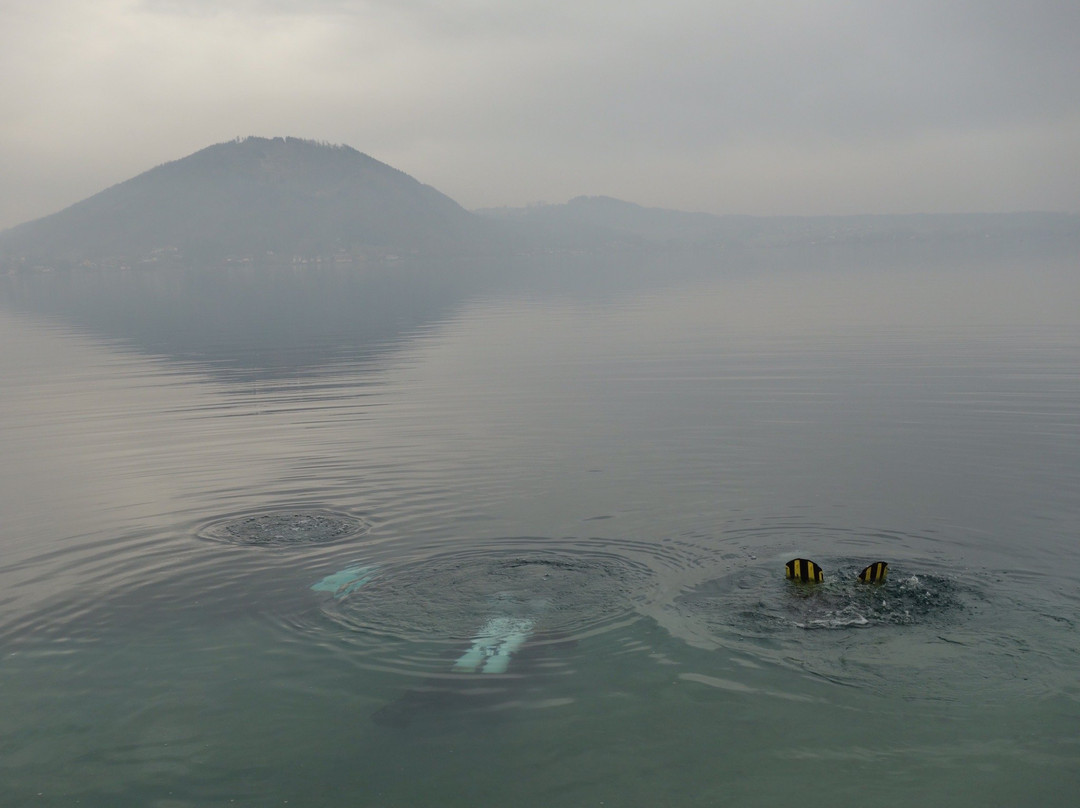 Tauchschule Under Pressure-Weyregg am Attersee必去景点
