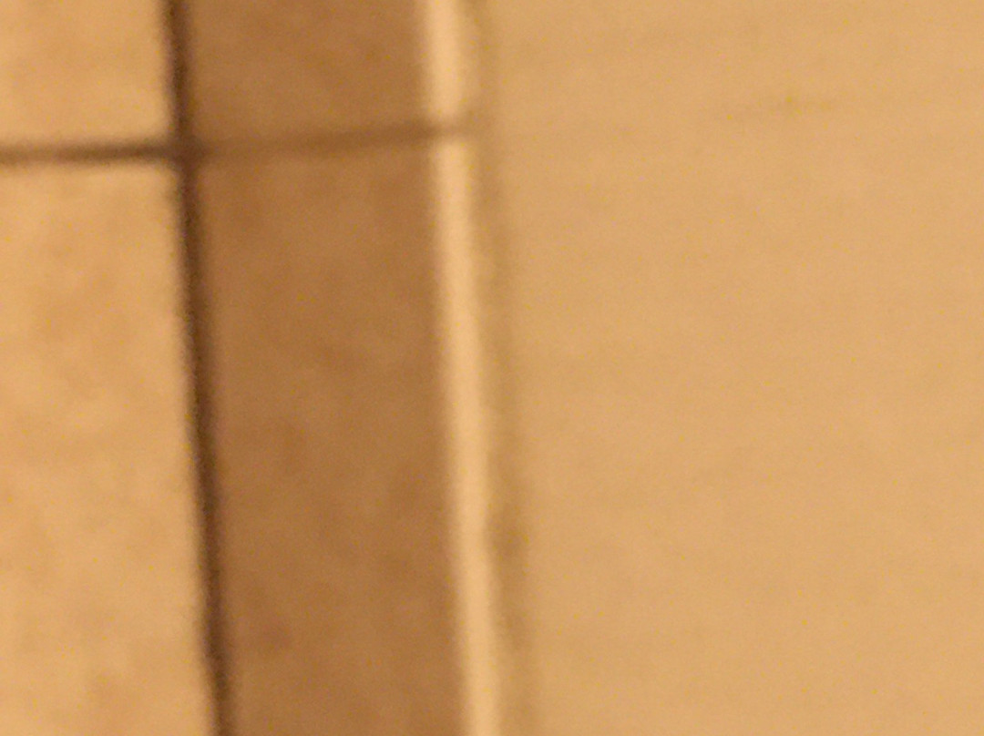 Host Inn All Suites Hotel主图