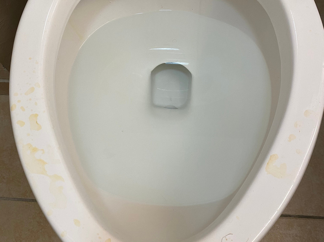 乔利埃特温盖特温德姆酒店主图