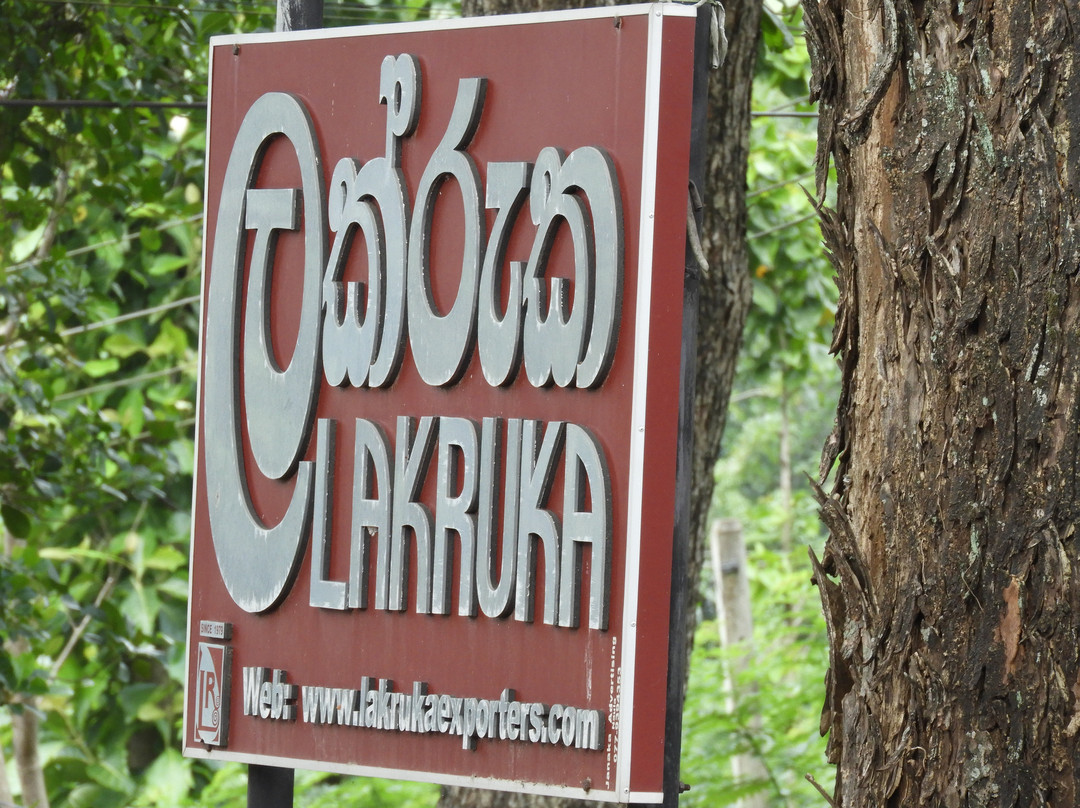 Arangala旅游攻略图片