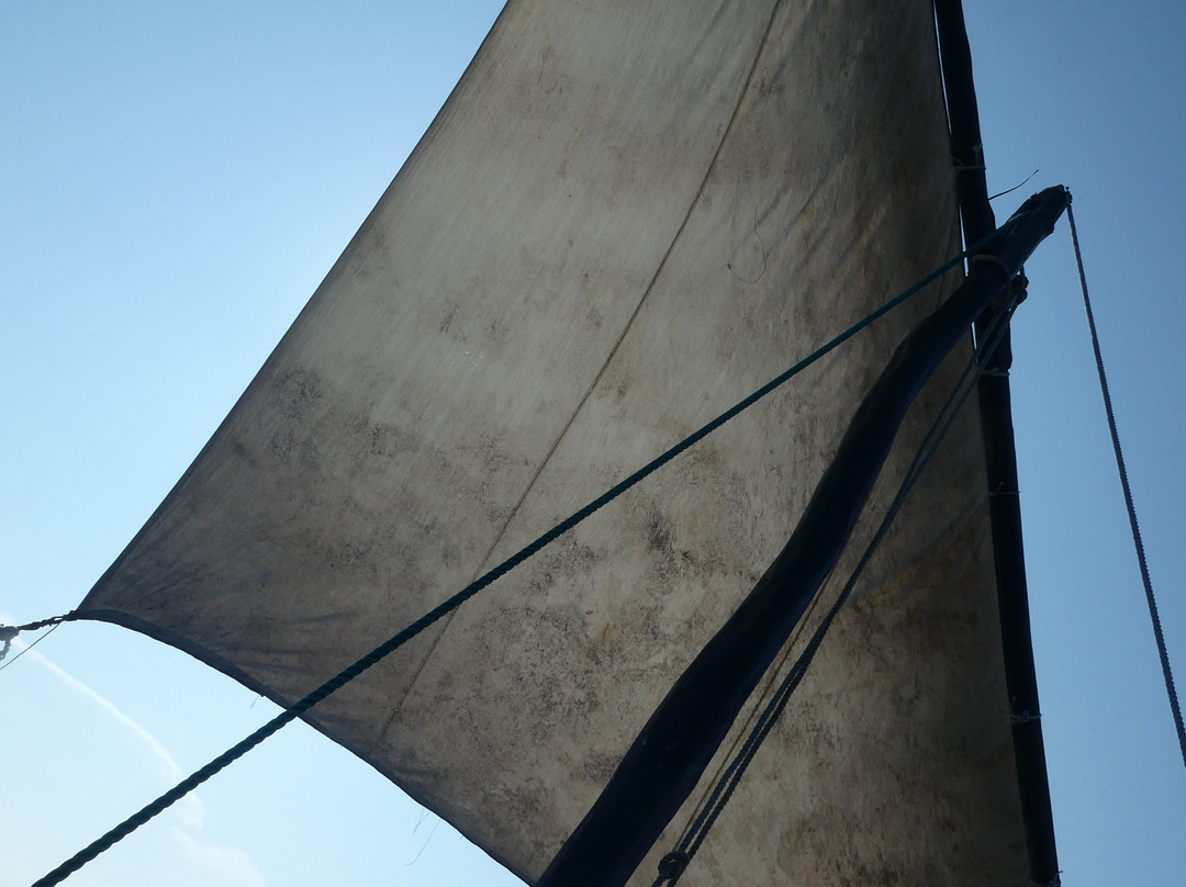 Kinazini Funzi Dhow Day Safari景点图片