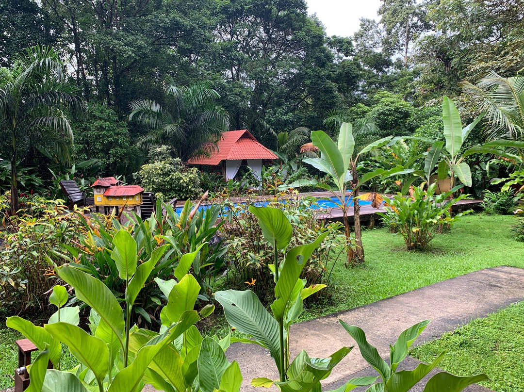 The Monkey Bowl主图