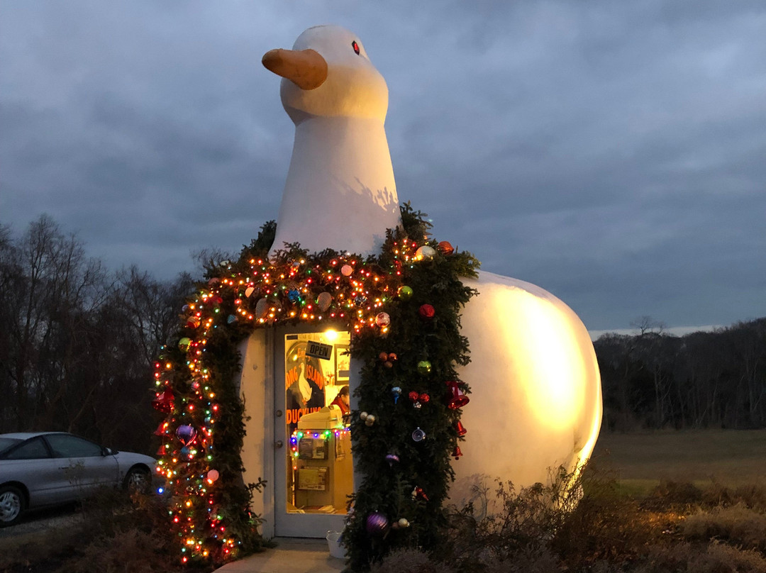 The Big Duck-Flanders必去景点