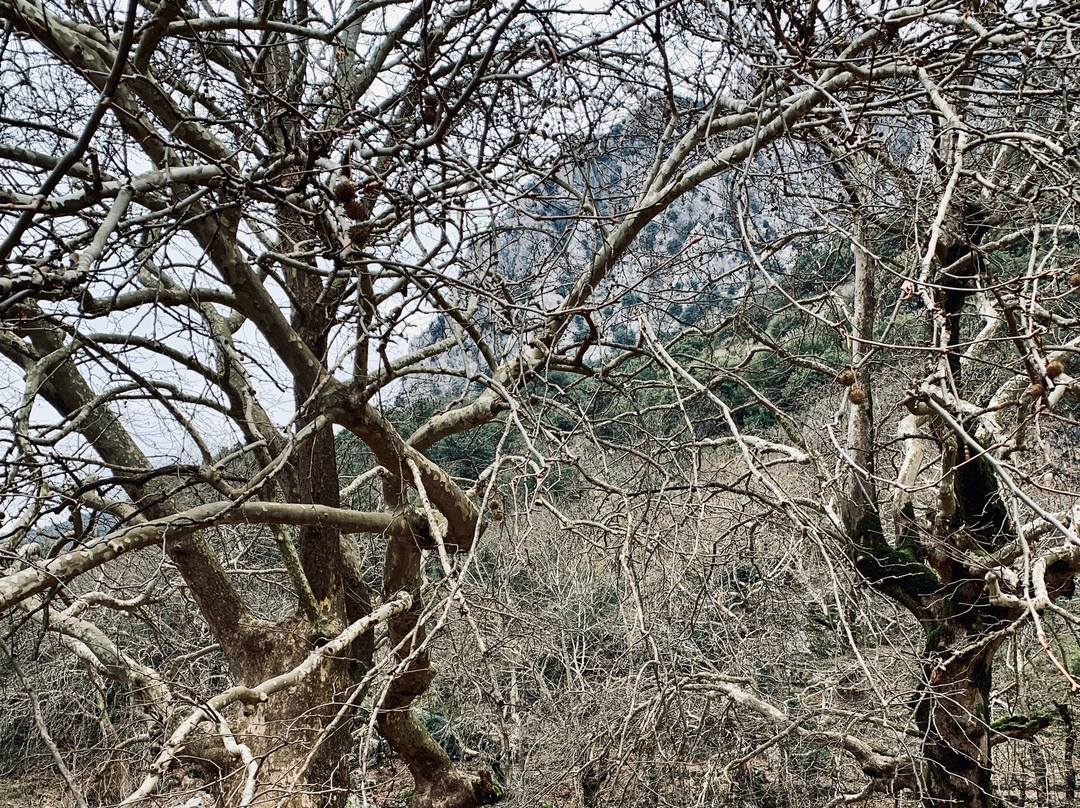 Stone Bridge Gate-Trikala必去景点