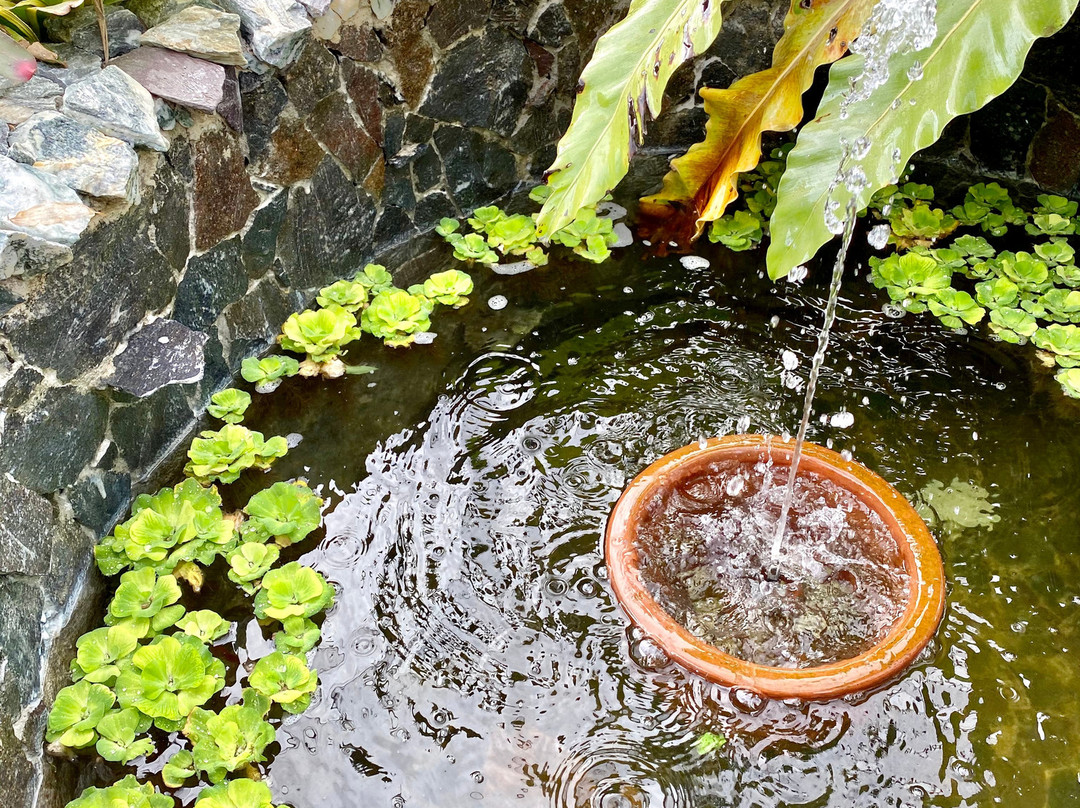 YKalinga Hotel主图