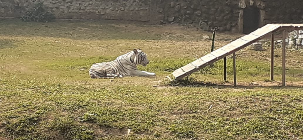 Gandhi Prani Udhyan-瓜廖尔必去景点