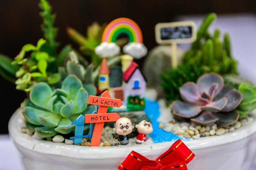 La Cactus Hotel主图