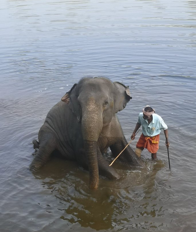 Abhayaranyam Zoo-Kodanad必去景点