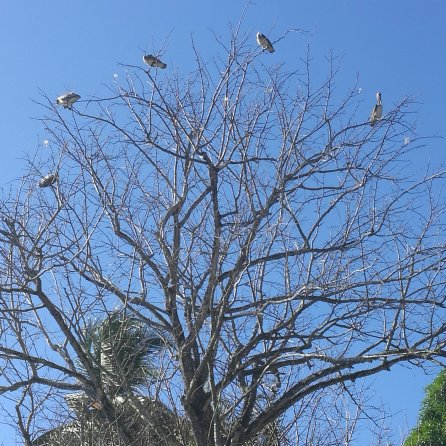 Hotel La Cascada瀑布酒店-portrait