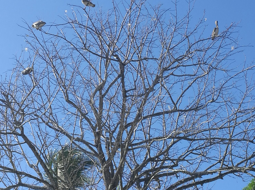 Hotel La Cascada瀑布酒店主图