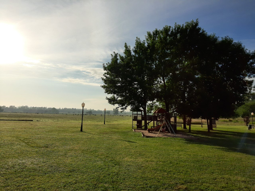 Wyndham Garden Lujan主图