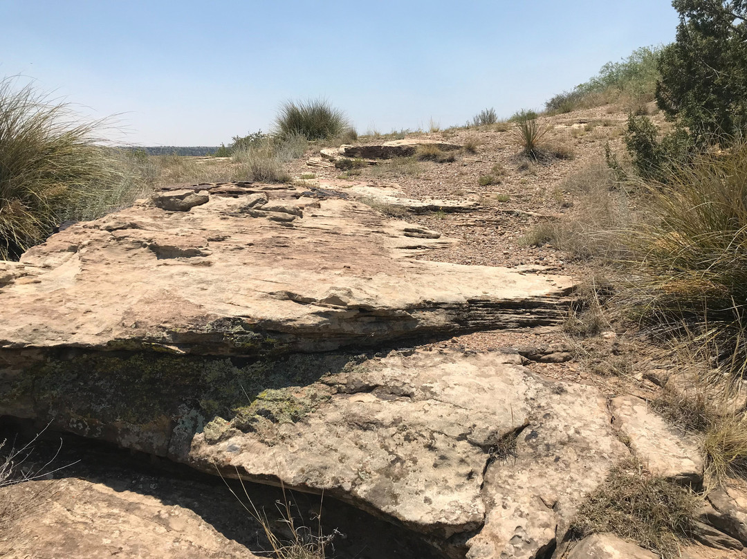 Sumner Lake State Park-Fort Sumner必去景点