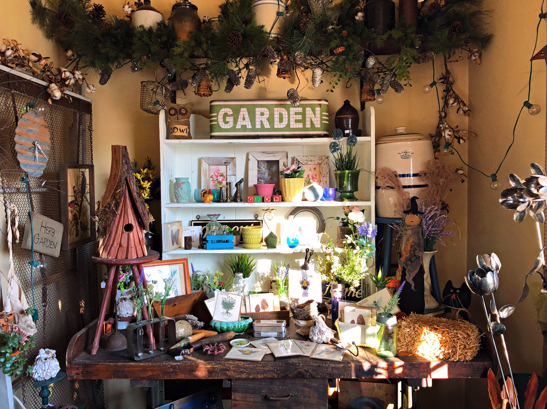 Cook & Gardener Collections景点图片