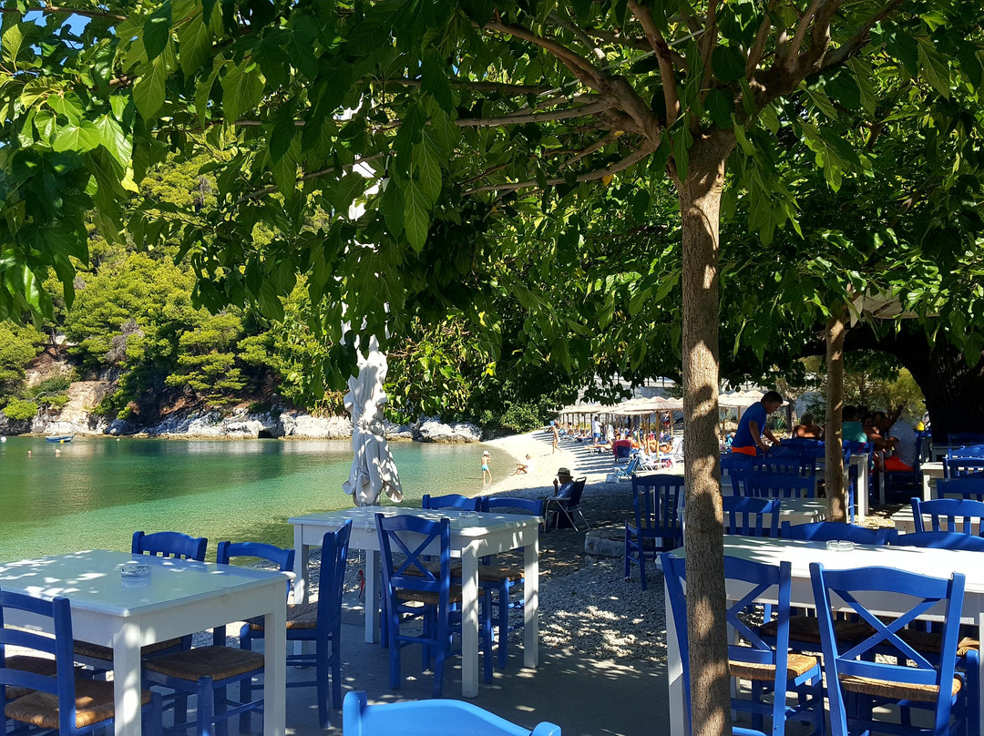 Agnondas Beach-斯科派洛斯必去景点