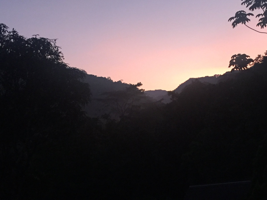 Hotel La Selva Agroecologica主图