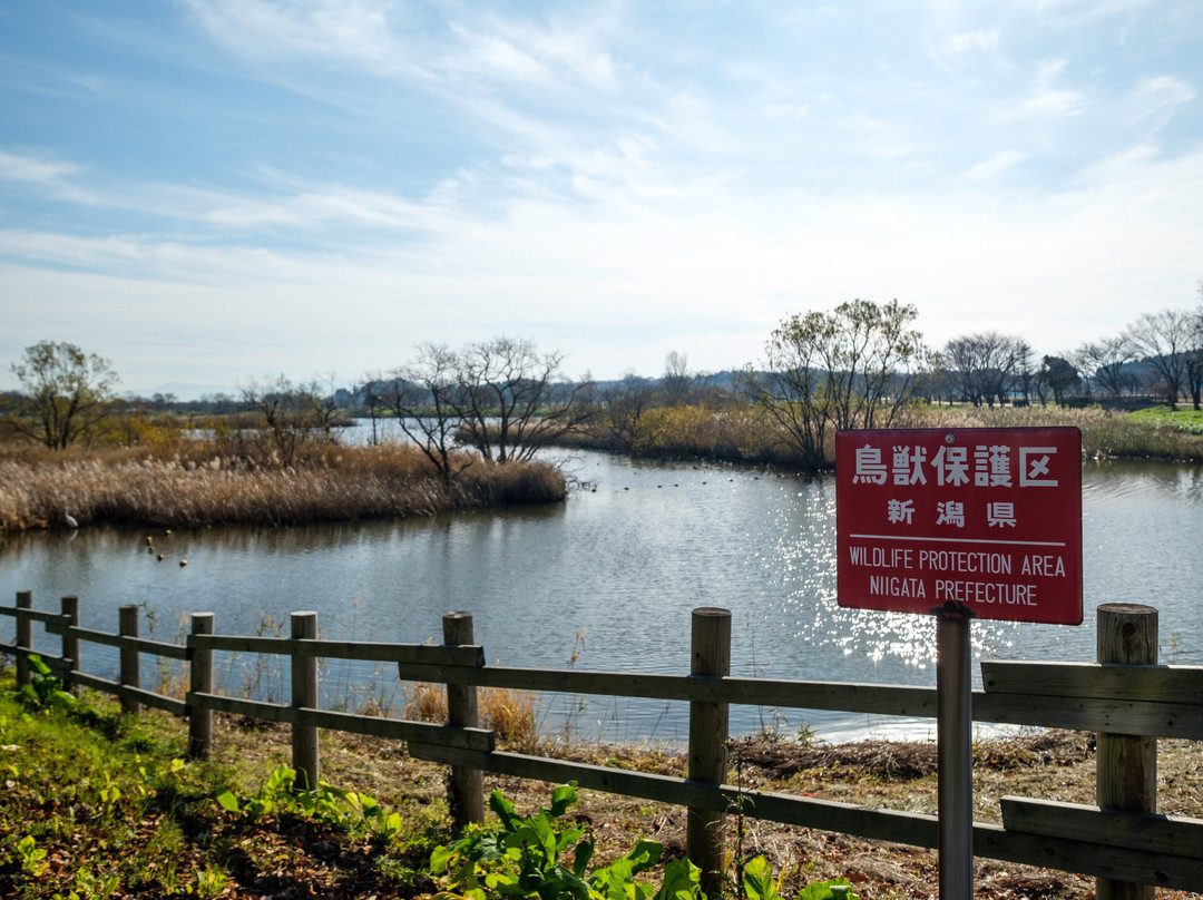 Uwasekigata Park景点图片