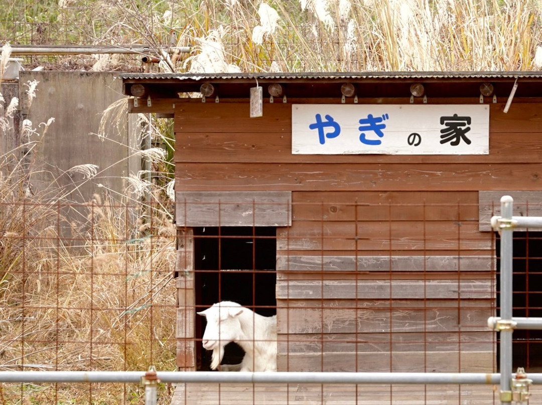 Mt. Monomiyama-日高市必去景点
