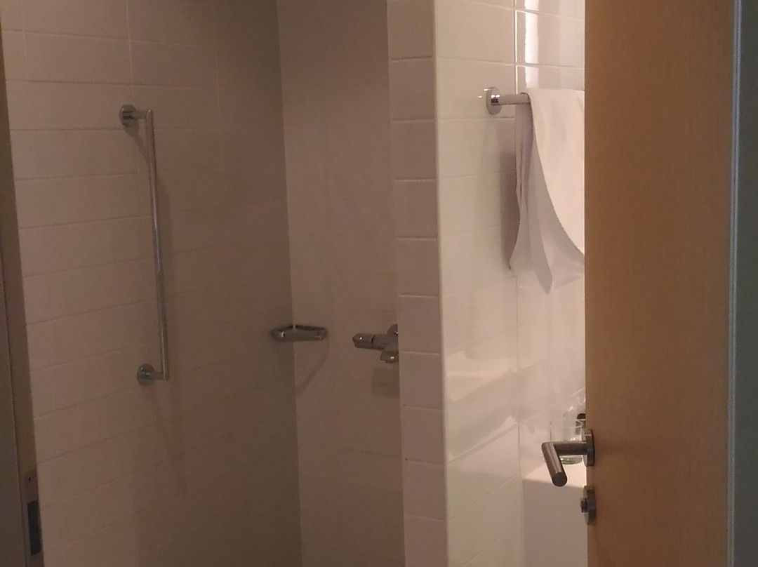 Cosmos Novosibirsk Hotel, A Member Of Radisson Individuals主图