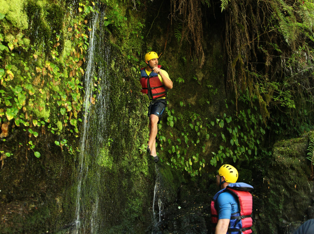 Turismo Hua Hum-瓦尔迪维亚必去景点