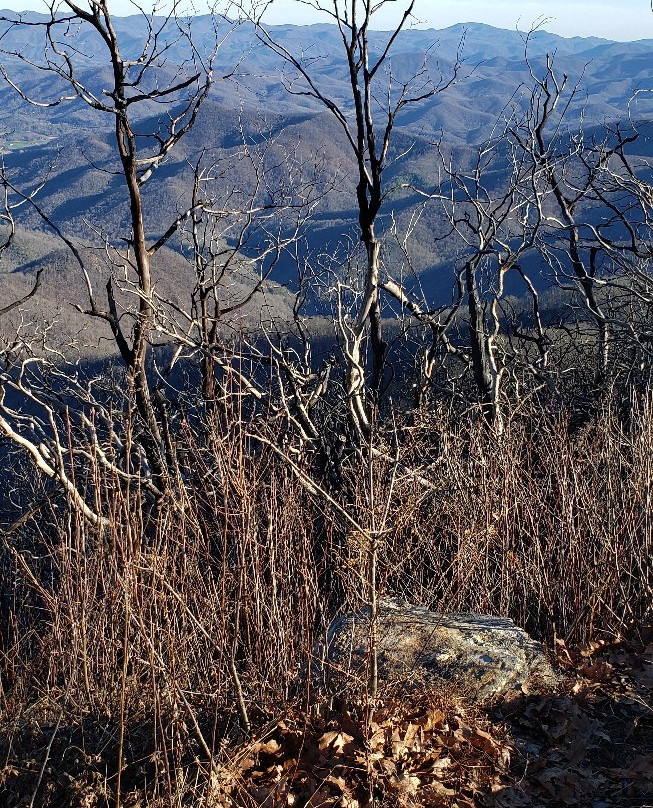 Nantahala National Forest-北卡罗莱纳山必去景点