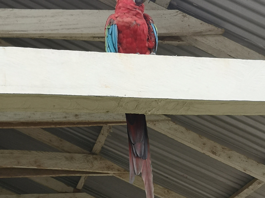 La Ruta del Bufeo-Trinidad必去景点