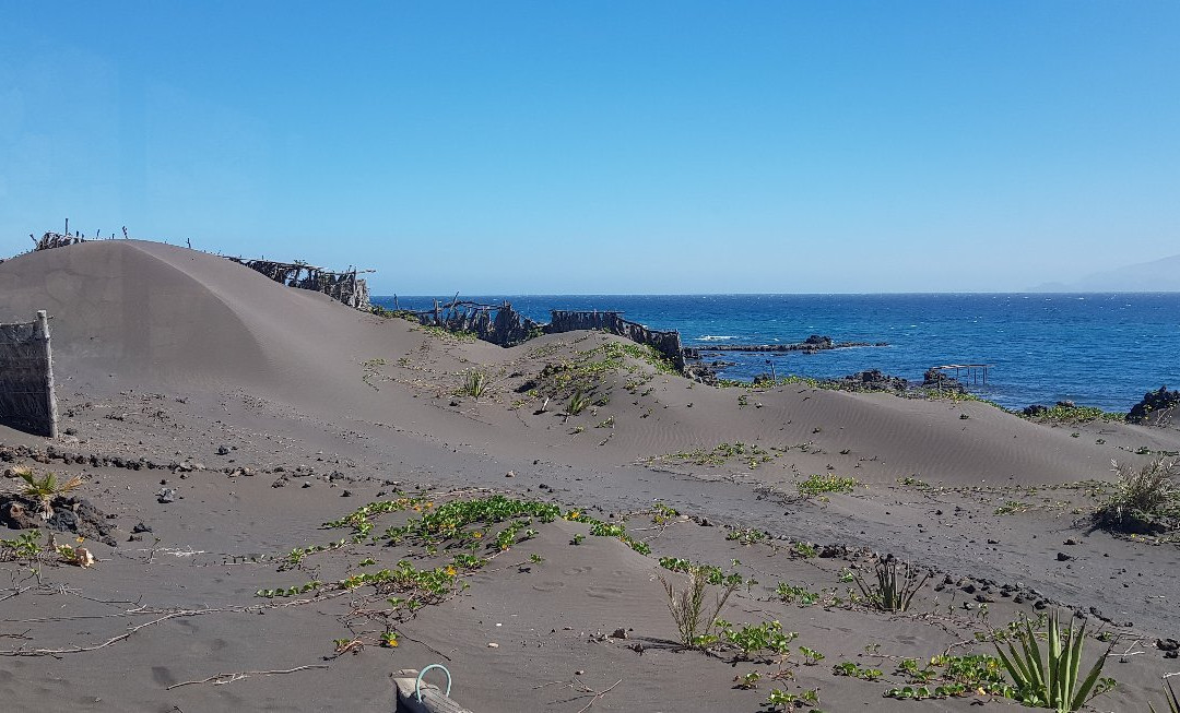 Casa De France主图