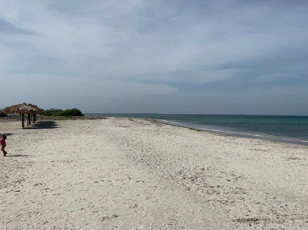 Paradise Beach景点图片