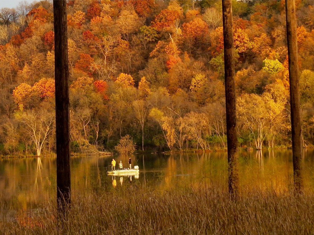 Lilydale Regional Park-圣保罗必去景点
