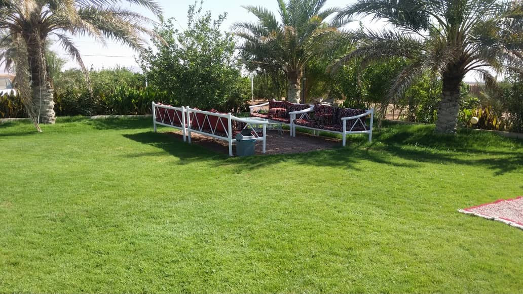 Ha'il Province旅游攻略图片