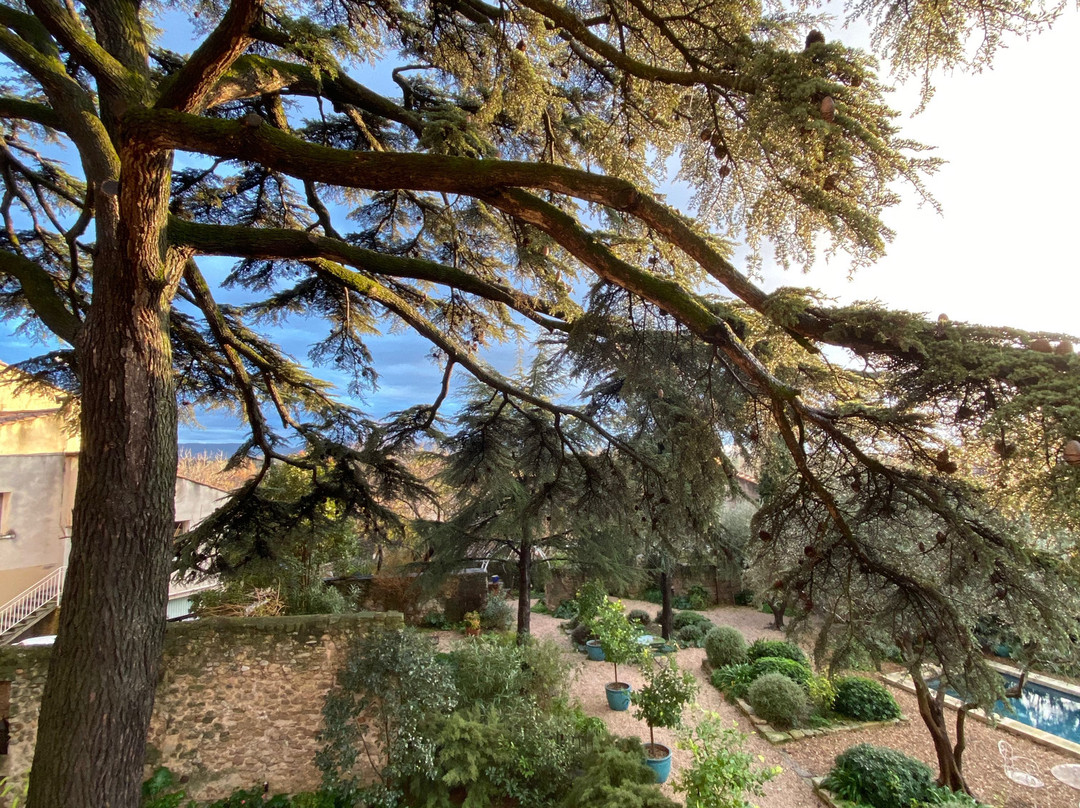 Le Jardin de Mazan主图
