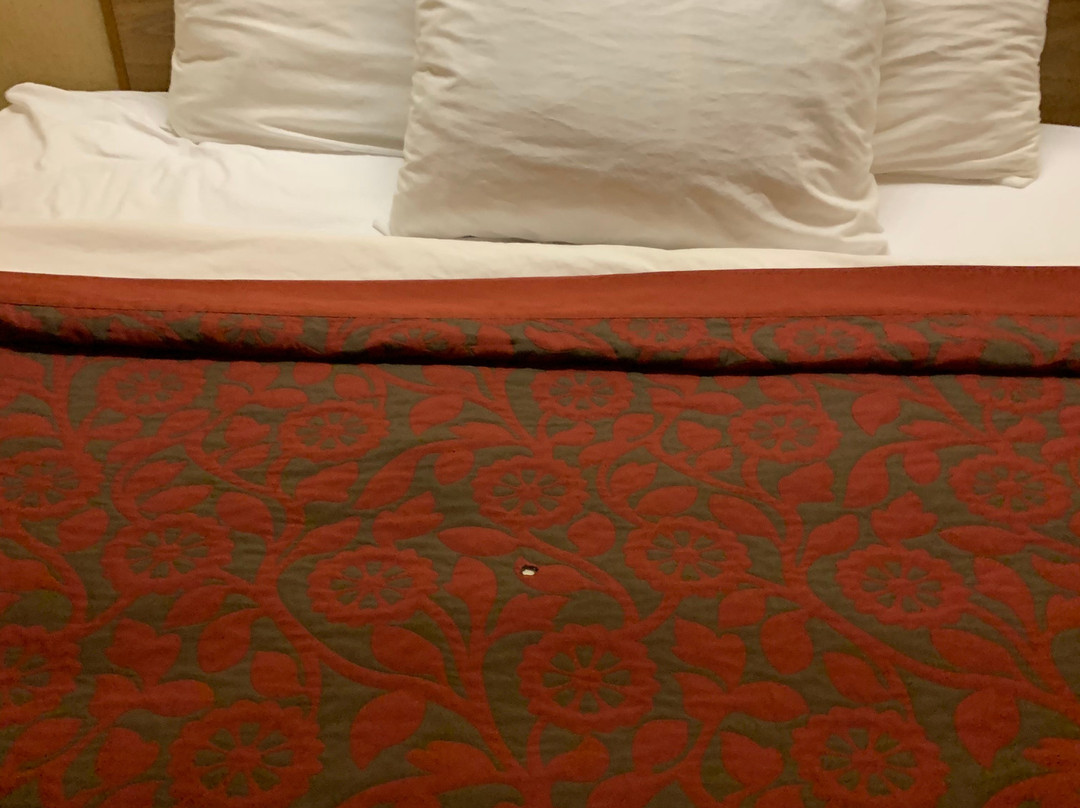 SpringHill Suites by Marriott Pittsburgh Airport主图