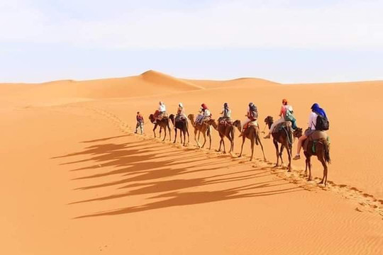 Be In Morocco Tours-非斯必去景点
