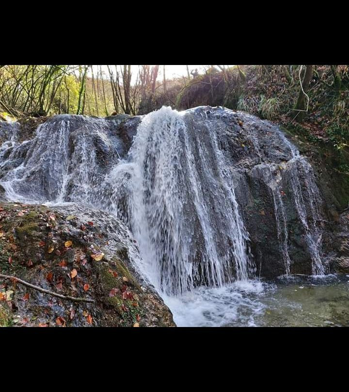 Tana del ghiro La Fattoria Didattica景点图片