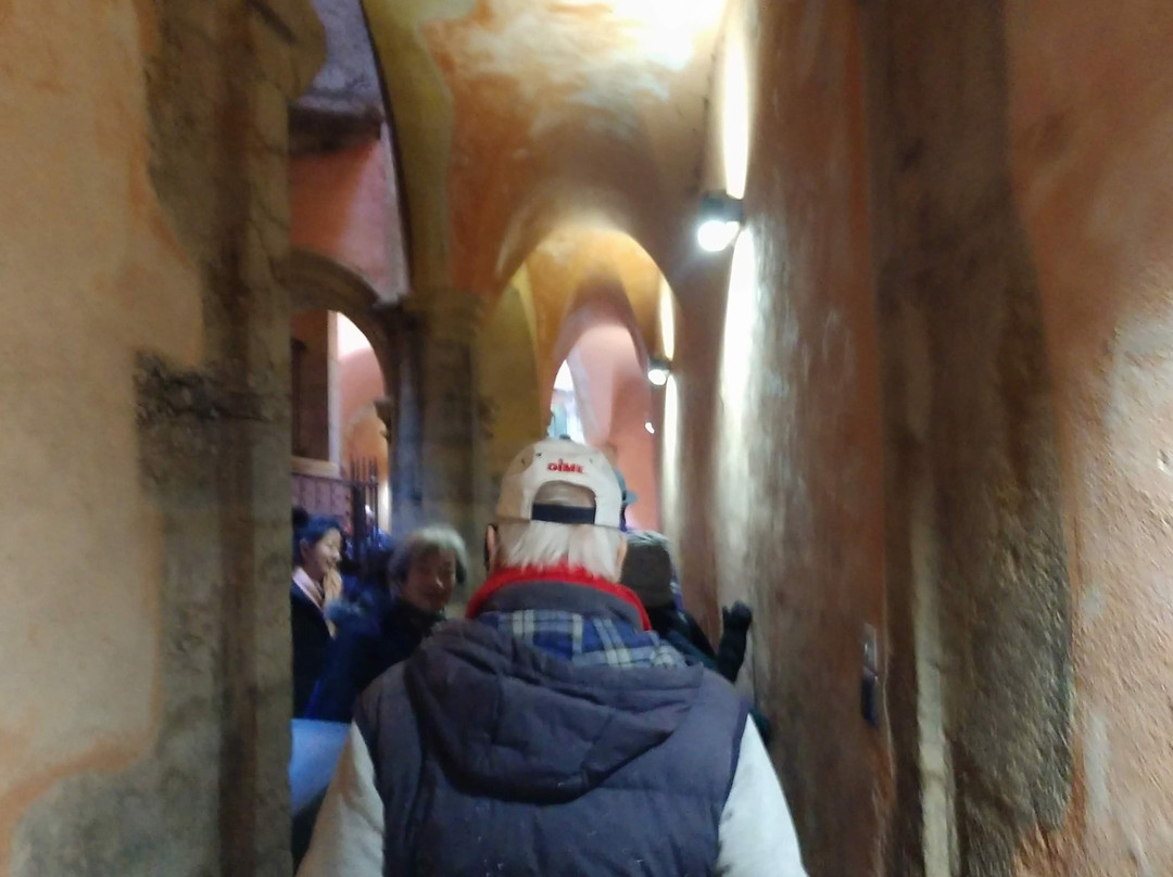Traboules - Hotel Cour des Loges-里昂必去景点