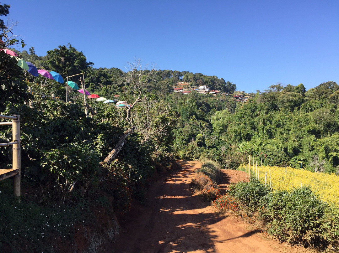 Pha Hi Village-美塞必去景点