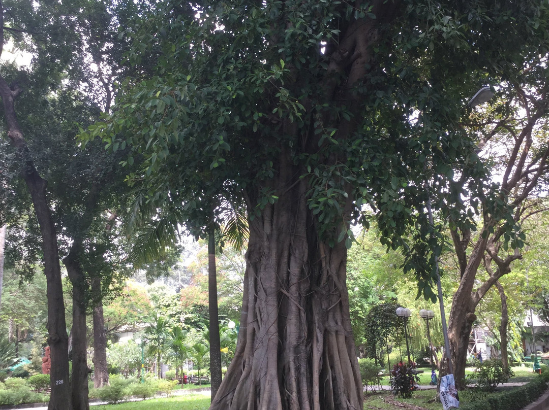 骚坛公园景点图片