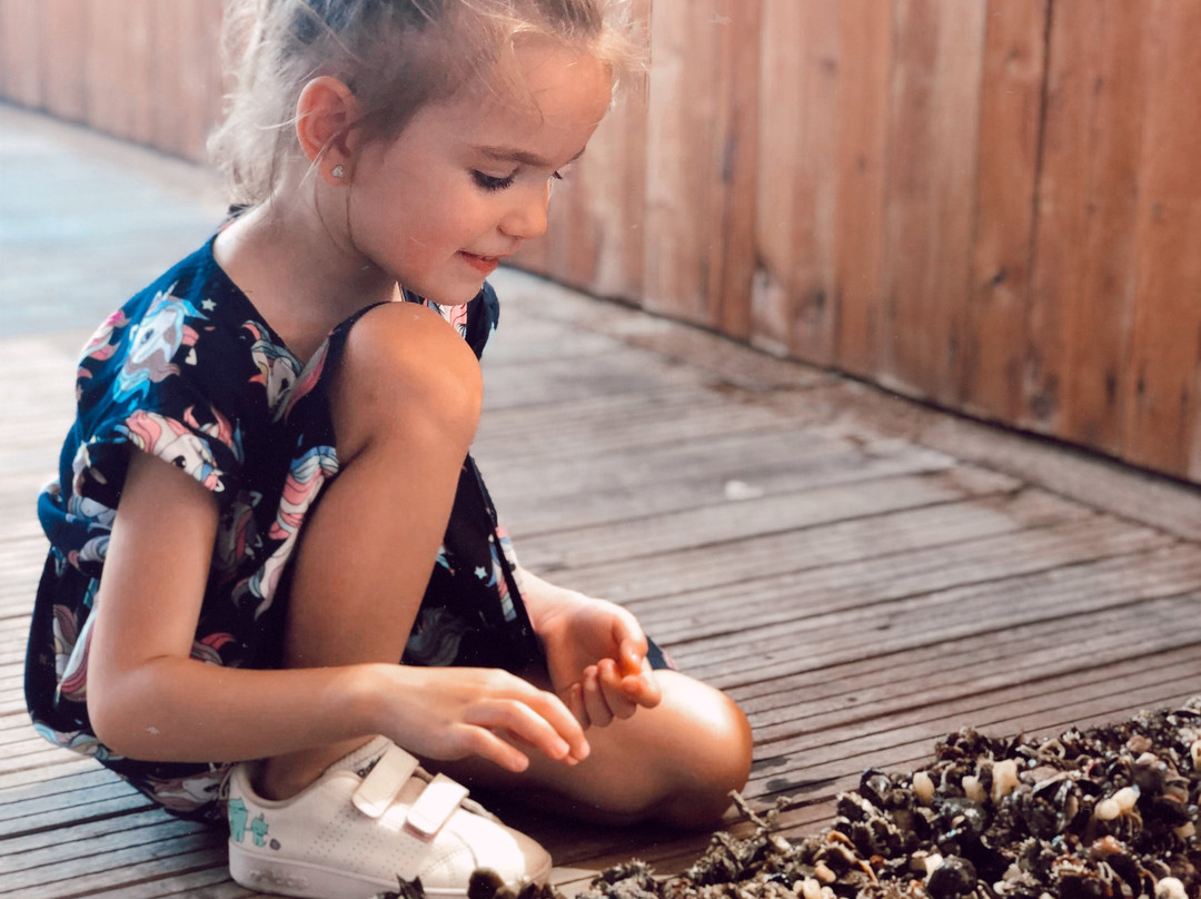 House Of Pearls By Suwaidi Pearls-哈伊马角必去景点