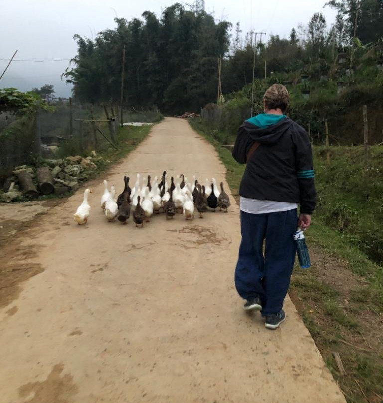 Sapa Mountain Eco Lodge主图