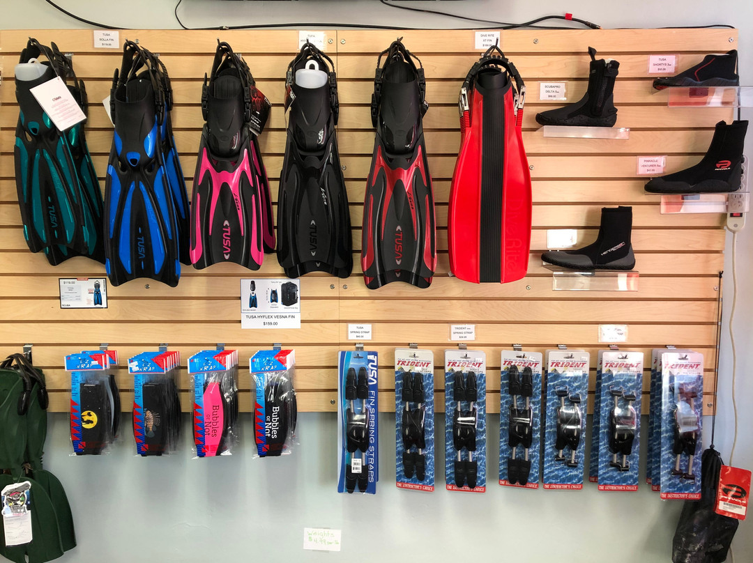 Bubbles or Not-Harlem必去景点