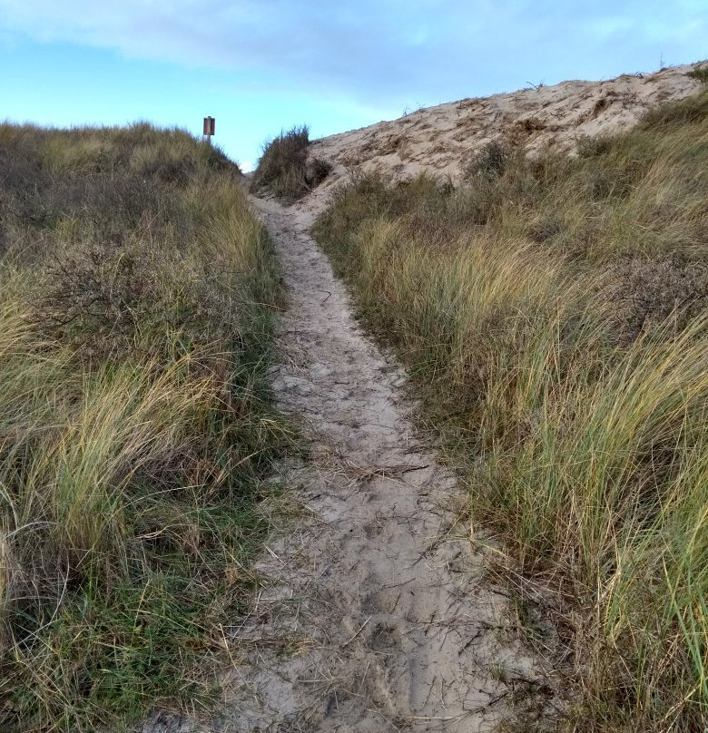 Groene strand-West-Terschelling必去景点