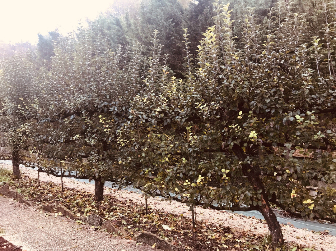 Nuits et Jardin主图