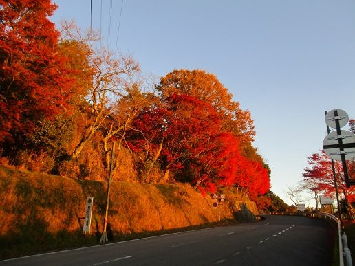 Hieizan Driveway-大津市必去景点