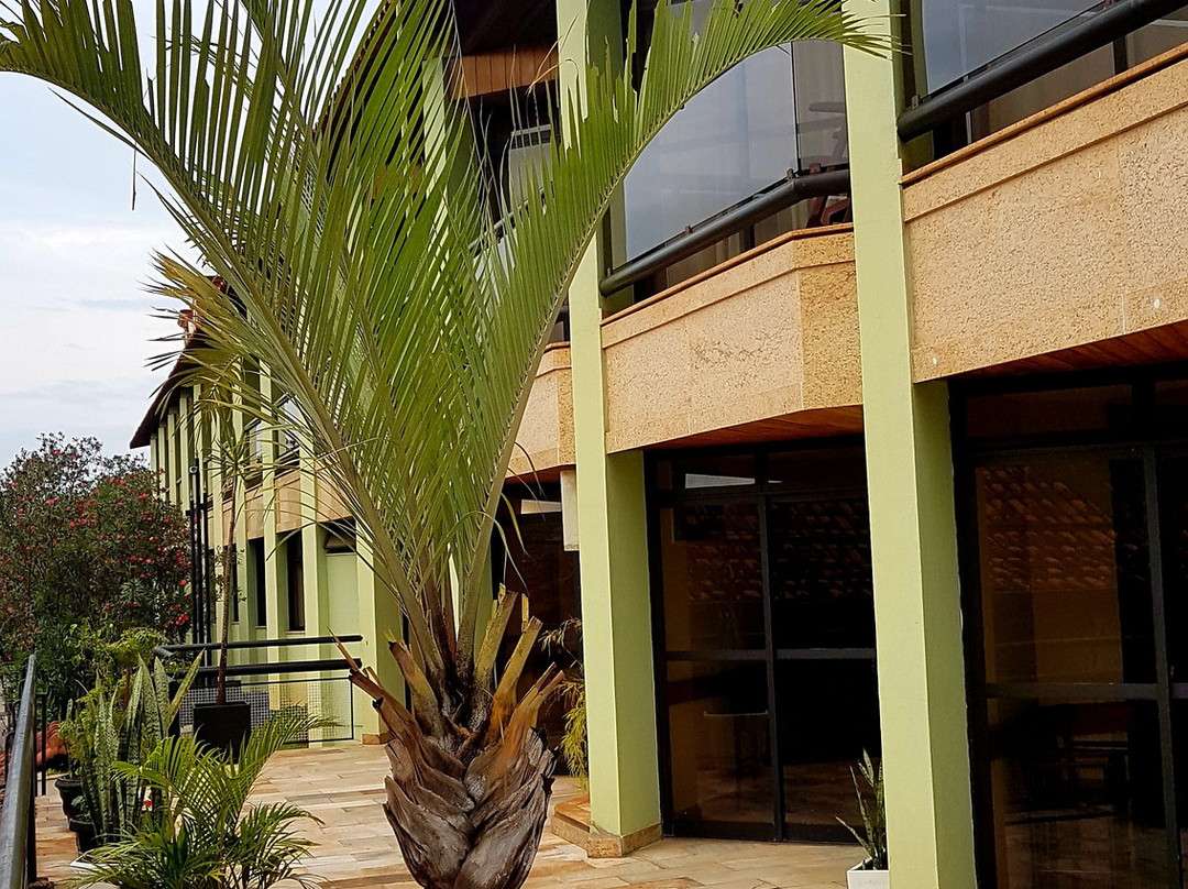 Solar Corte Real主图