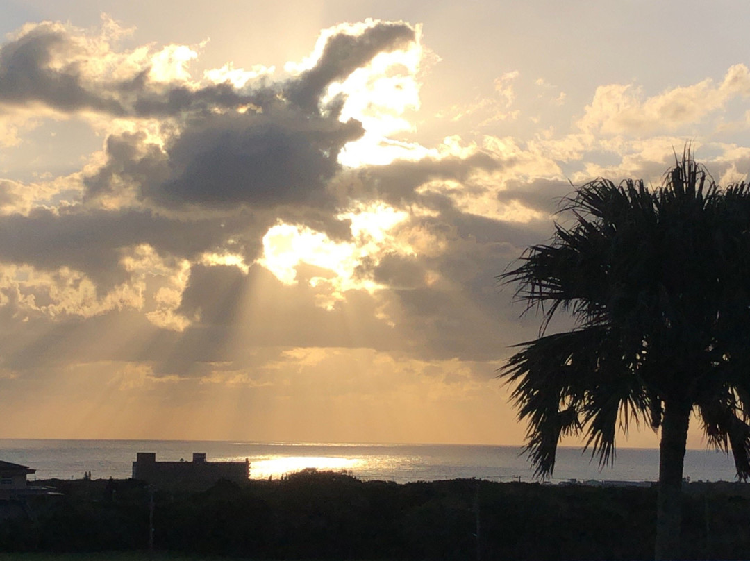 Hachijo Visitor Center-八丈町必去景点