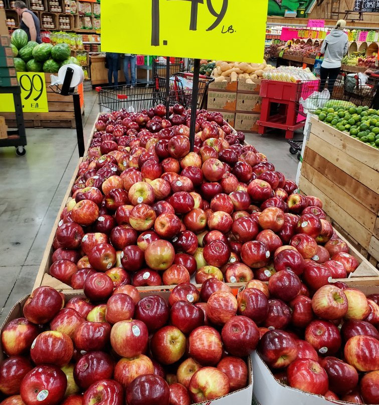 Detwiler's Farm Market-萨拉索塔必去景点