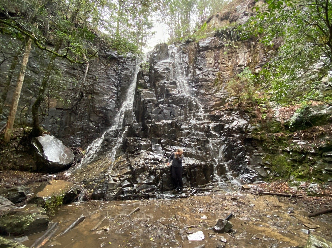 39 Steps-Hogsback必去景点